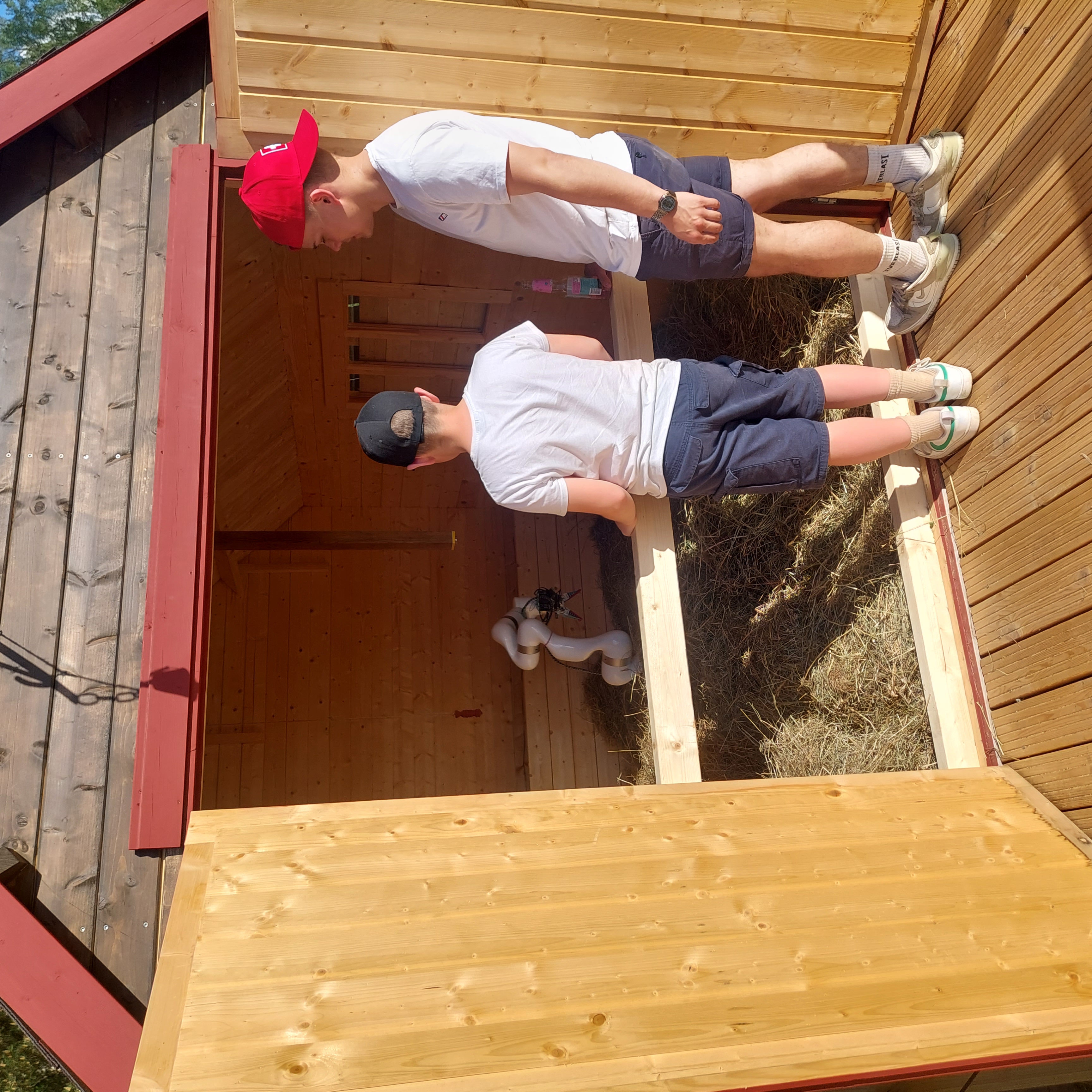 A Needle in a Haystack