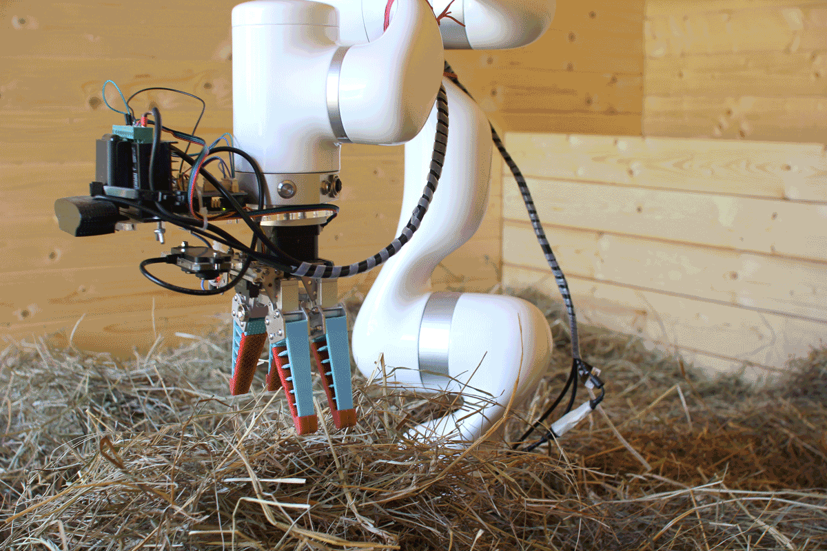 A Needle in a Haystack