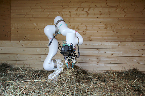 A Needle in a Haystack