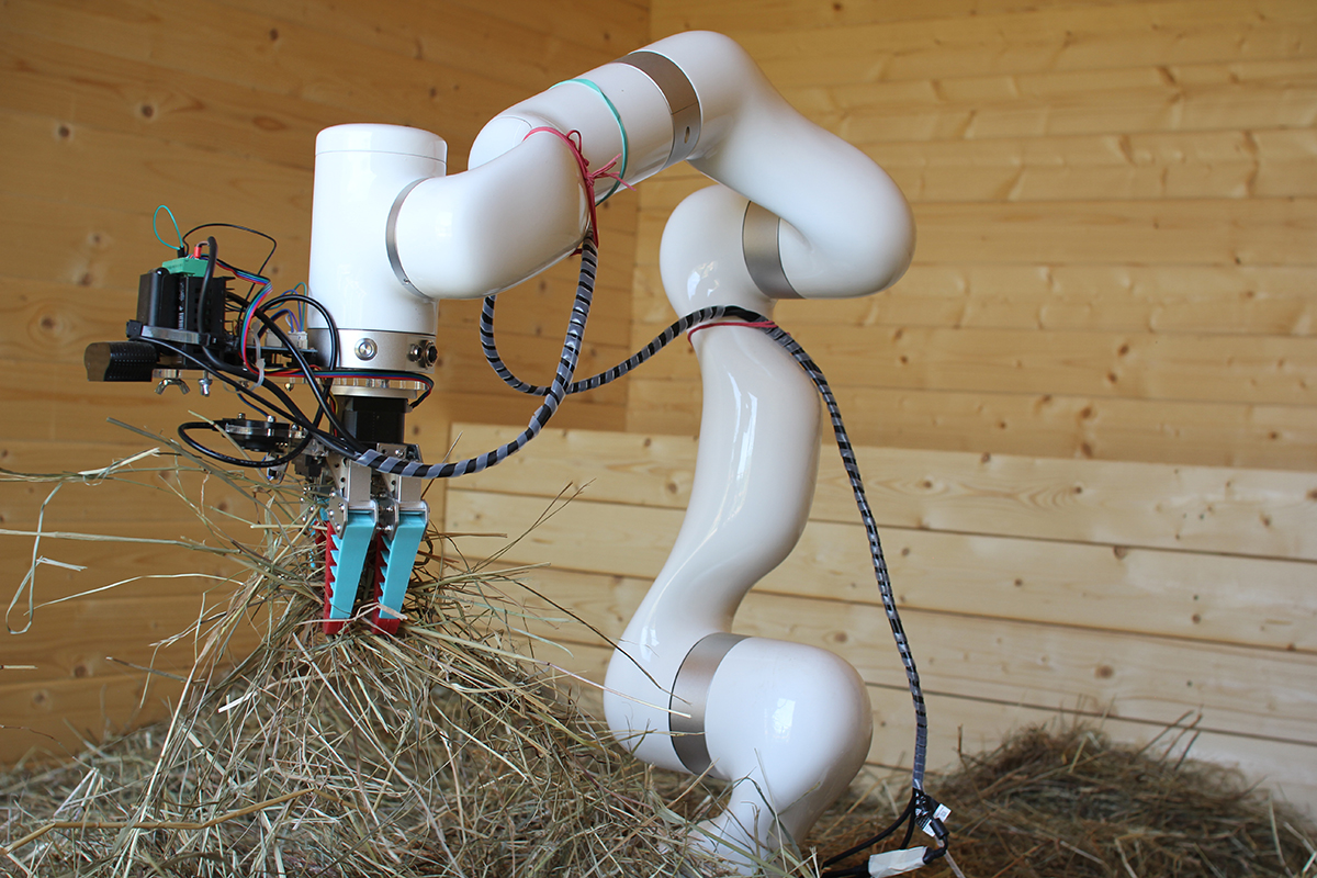 A Needle in a Haystack