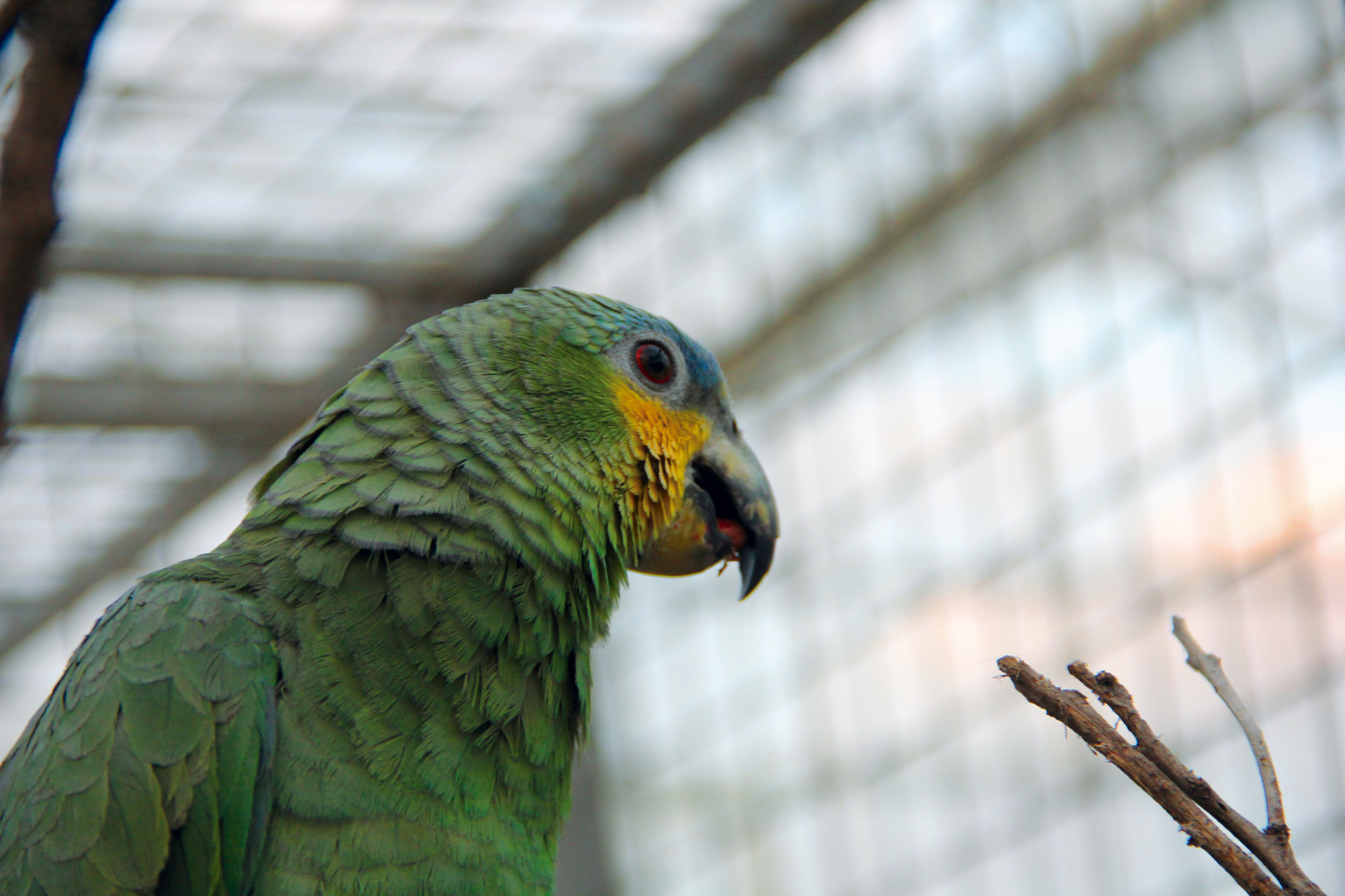 Copyright is for Losers