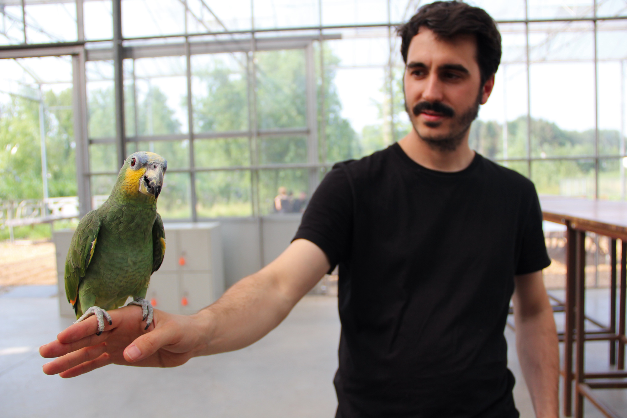 Copyright is for Losers