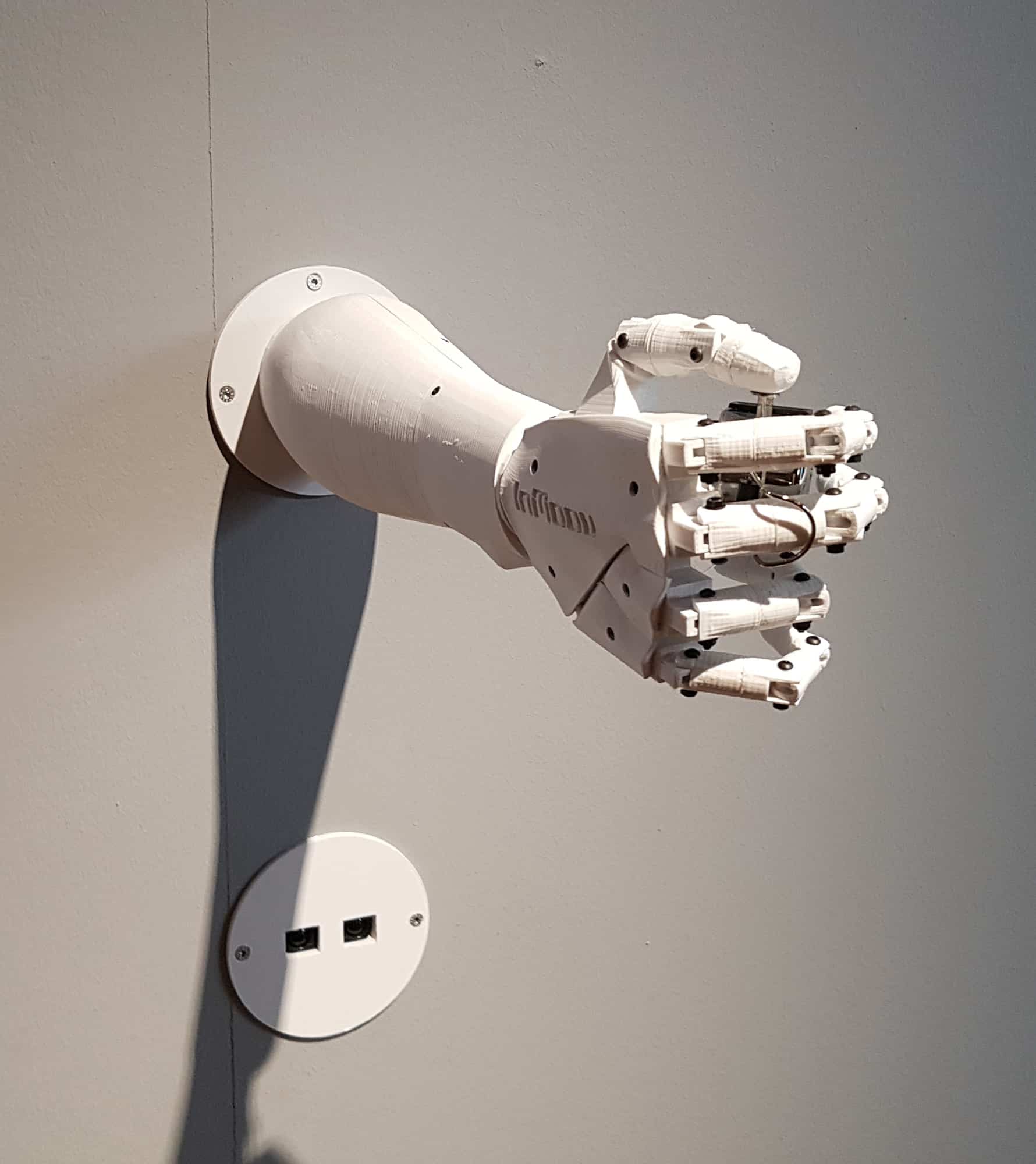 HUMANS NEED NOT TO COUNT