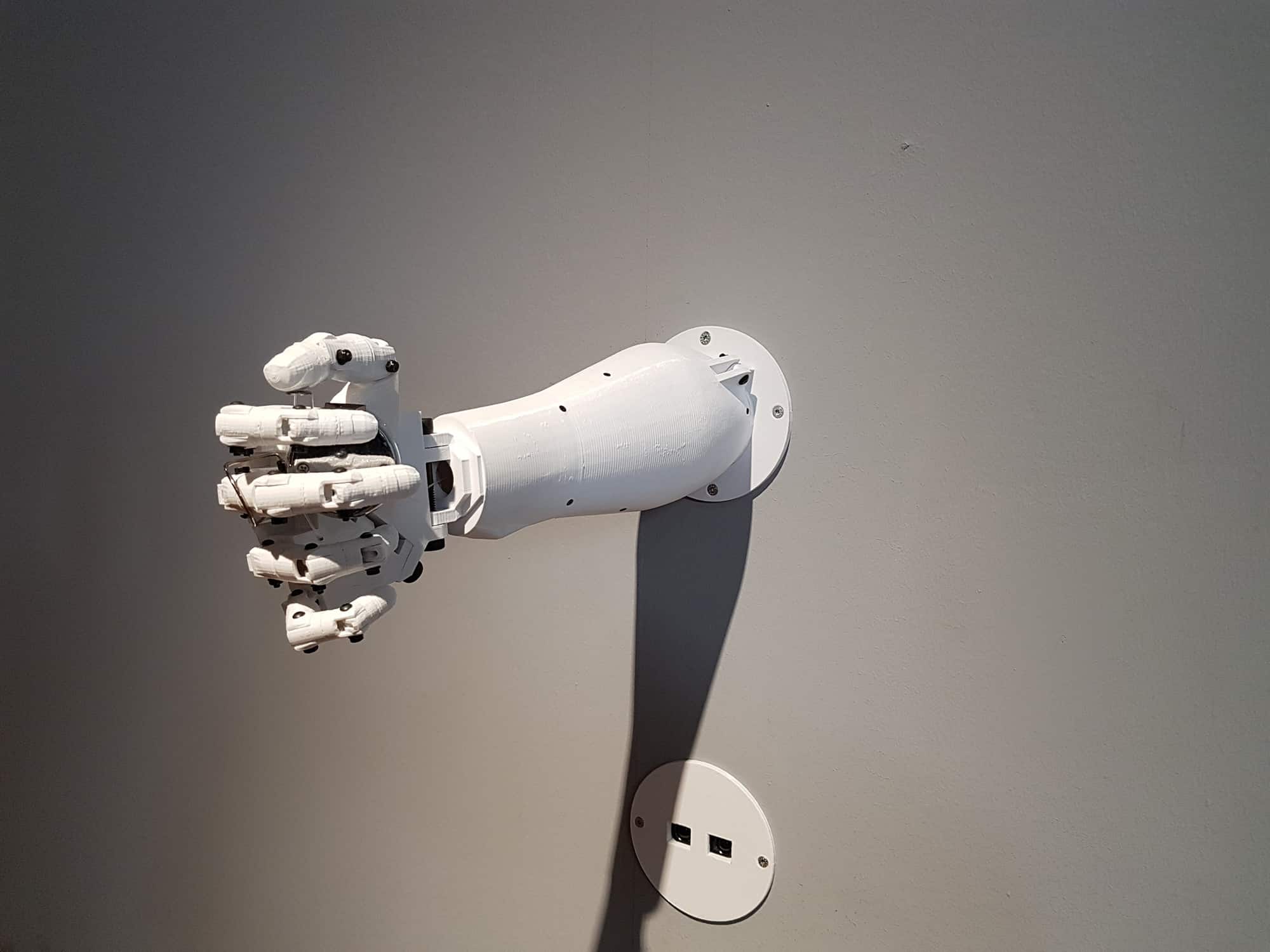 HUMANS NEED NOT TO COUNT